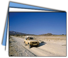 Jeep Safari, Leh Tour Packages