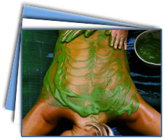 Kerala ayurveda Tour