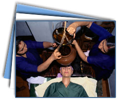 South India Ayurveda Tour