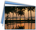 Backwater & Beach Delight 