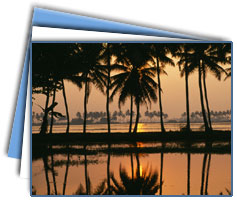 Backwater & Beach Delight Tours