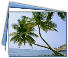 Trivandrum Tour packages