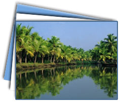 Alleppey Tour Packages