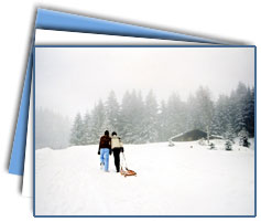 Himachal Honeymoon Holidays, Holidays Vacation in Himachal, India Himachal Honeymoon Trip, Family Tour in Himachal India