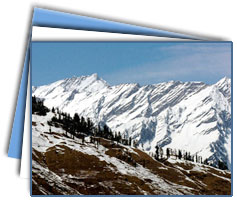 Shimla Tour Packages