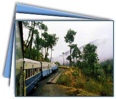 Shimla Tour Packages