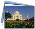 Romantic Rajasthan, Taj Mahal, Exotic Temples and Indian Tiger Tour 